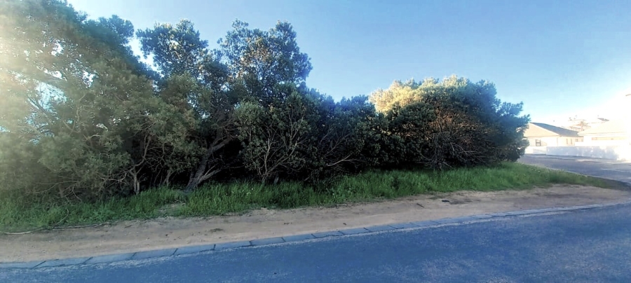 0 Bedroom Property for Sale in Shelley Point Western Cape